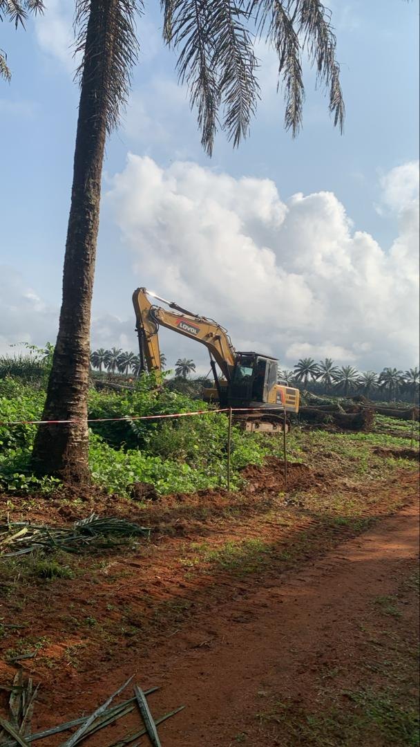 LOVOL excavator working in a plantation environment